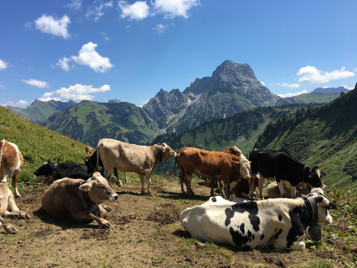 Bergfex Gaisalphorn Mit Sommer-Bergbahnticket Oberstdorf Exteriér fotografie