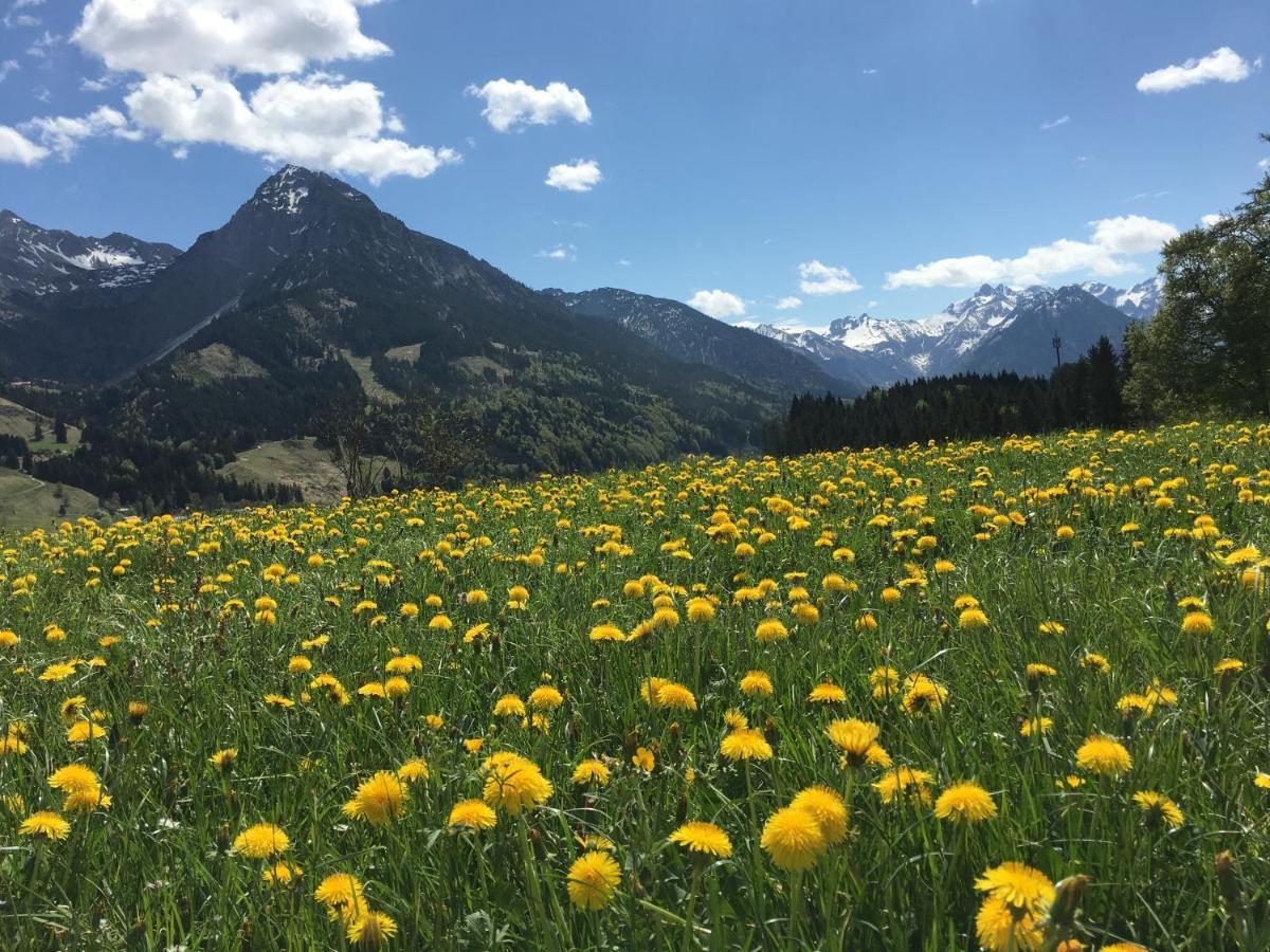 Bergfex Gaisalphorn Mit Sommer-Bergbahnticket Oberstdorf Exteriér fotografie